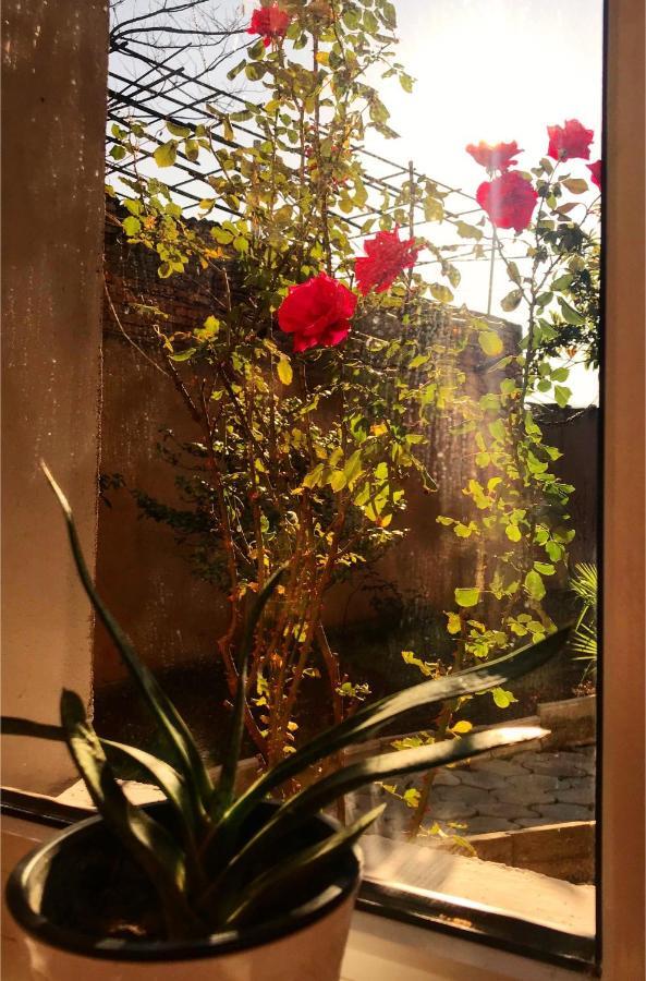Apartment Golden House Tbilisi